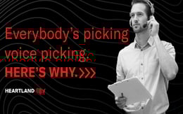 everybodys-picking-voice-picking-blog-image