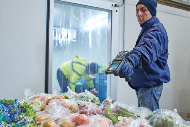 pp4_cold-storage_support-1